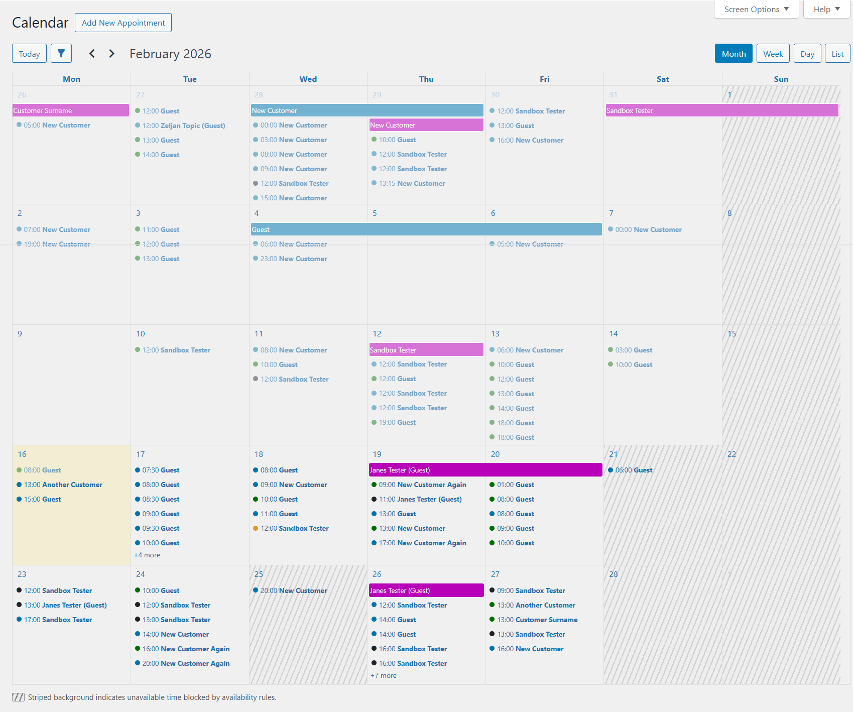 Month Calendar View